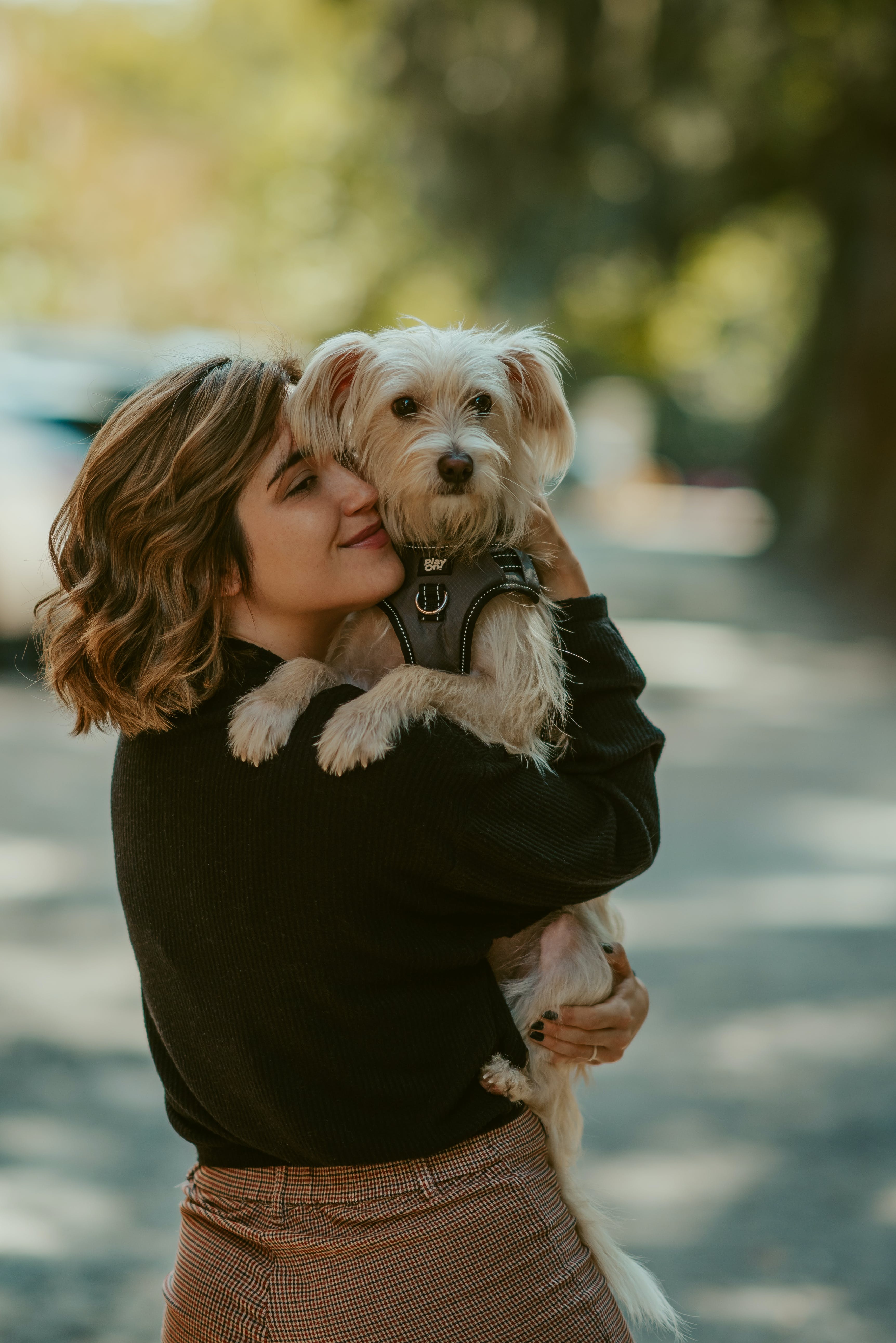 Animal Support Girl Dog